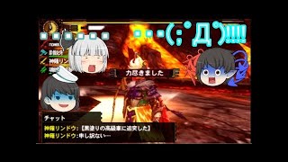 【MH4Gゆっくり実況】自由気ままなハンターの狩猟part9