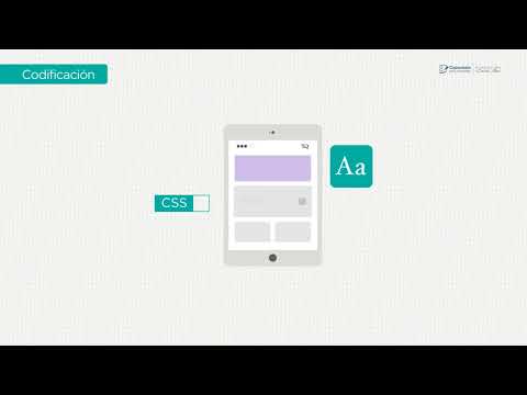 01 Desarrollador de aplicaciones móviles