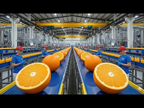 Inside the orange juice factory tour #factorytour 