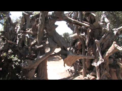 Building Boom Festival 2012