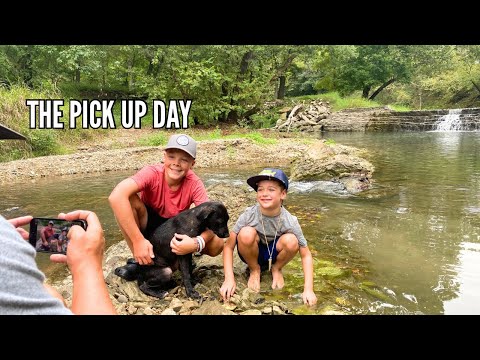 Arms Family Homestead Road Trip Recap| Our Rescue Dog Turns ONE |