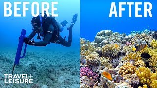 How Scientists Are Restoring the Great Barrier Reef (And How You Can Help)