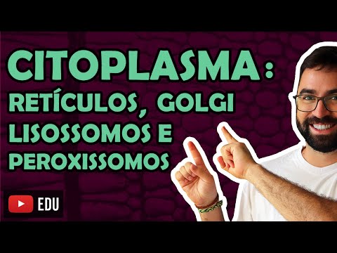 Cytoplasm: Reticulum, Golgi and Lysosomes - Class 22 - Module I: Cell Biology | Prof. Gui