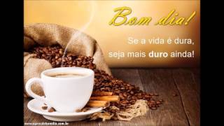 OTIMISMO Bom dia!!! Uma iluminada terça feira