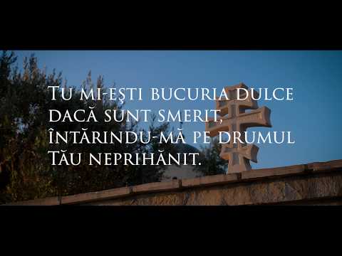 Temelia vieții mele | Andrei Sălăjan | Oastea Domnului 2020