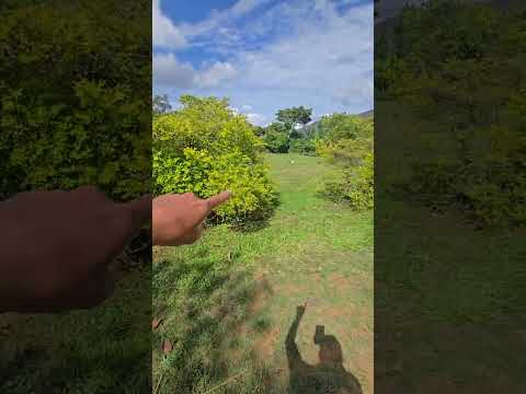 VENDO LOTES EN PIEDECUESTA/SANTANDER VEREDA PAJONAL A 10 MINUTOS DEL CASCO URBANO DE PIEDECUESTA.