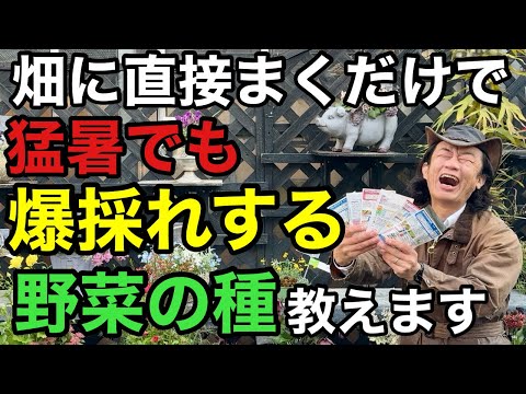 【賢い人だけ得をする】これから猛暑も怖くない！超おすすめ野菜の種教えます　　　　【園芸】【家庭菜園】【初心者】