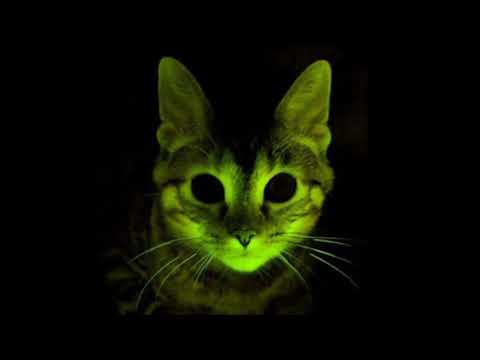 Rahze - Das Tier frisst (Prod. By Brothers of Carnage)