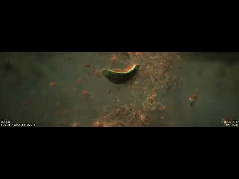 Caméra portable à grande vitesse - Gamme HHC X pour l'industrie pharmaceutique, agroalimentaire, biologie, exploitation minière et troubleshooting_5