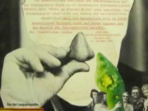 Eltern haften für ihre Kinder - Fischerlied (Take A Walk On The Wild Side)