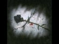 Donde estara mi primavera / Miriam Hernandez ...