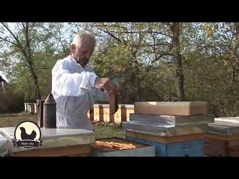 Zazimljavanje pčela u Fararovim košnicama