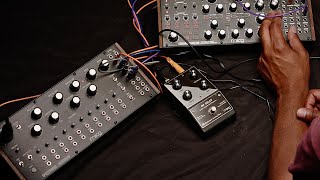 Moog Spectravox x Subharmonicon - A Brief Explainer/patch ideas