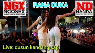 Download lagu DJ RANA DUKA ‼️ NANDA AUDIO JEMBER feat Vt crn ‼️ dusun kandang sapi mp3 Download lagu DJ RANA DUKA ‼️ NANDA AUDIO JEMBER feat Vt crn ‼️ dusun kandang sapi mp3