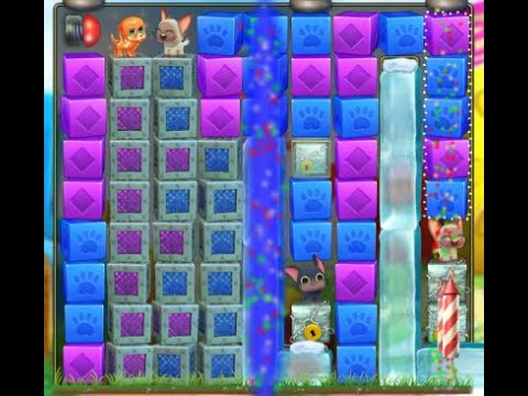 Pet Rescue Saga Level 3862