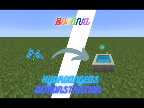 Hydroangeas Demonstration