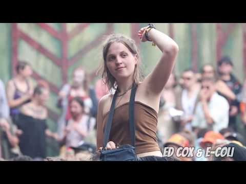 Ed Cox & E-Coli - Falling Blocks - Live at Boomtown Fair 2019