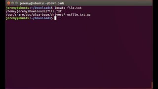 Linux Basics: How to Locate Files and Commands
