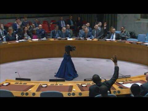 UN Security Council urges 'immediate' end to Huthi Red Sea attacks | AFP