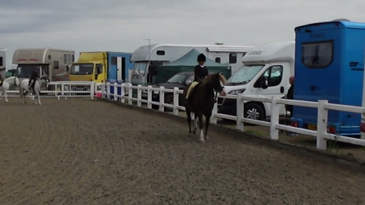 Saffron vs Harlow Match Highlights Season 2025/2026