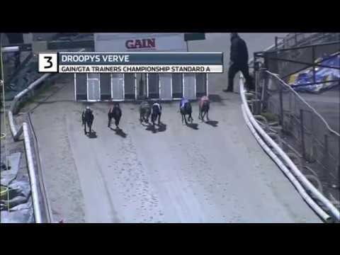 2019 TRAINERS CHAMPIONSHIP - STANDARD A - T3 DROOPYS VERVE