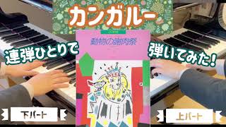 Download lagu 【連弾】カンガルー「動物の謝肉祭」より / サンサーンス作曲　各パートのみの動画付き mp3