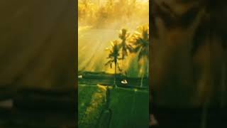 Download lagu status wa hindahnya suasana pedesaan #shorts mp3