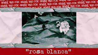 Rosa Blanca (feat. Vifonk) Lyrics English Translation