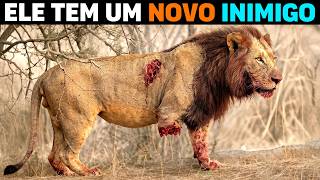 🚨 Leão EXPULSO DO BANDO volta PARA SE VINGAR dos irmãos (Documentário Completo)