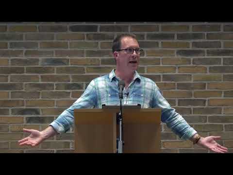 The Companion - David Gibson