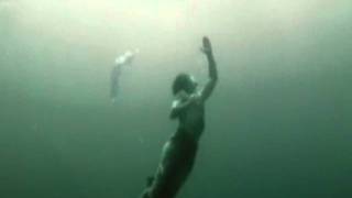 racoon don&#39;t give up the fight