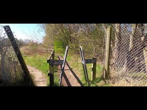 Portrack Marshes & Meadow Trail