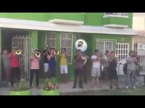 La Máxima Banda De Mazatlan Sin - "La Guacamaya"