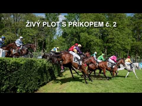 Dostihový spolek - Kurz Velké pardubické s překážkami ve fotografii