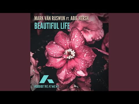 Beautiful Life (Original Mix)