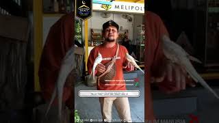 Download lagu “ Tarannum Nahawand by Ustaz Fahmi Asraf “ mp3