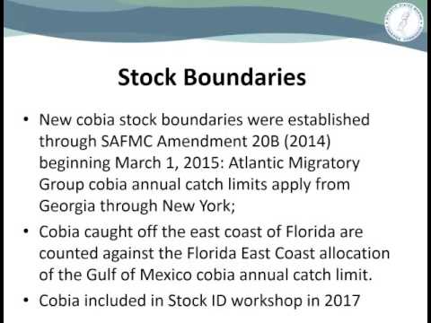 ASMFC South Atlantic Board Proceedings Oct2016