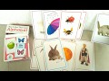 Slide Learn Flash Cards ALPHABET