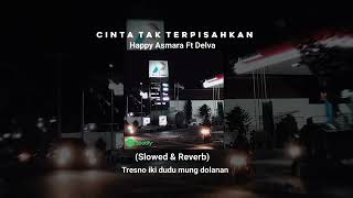 Download lagu CINTA TAK TERPISAHKAN - HAPPY ASMARA Ft DELVA || (SLOWED   REVERB ) mp3