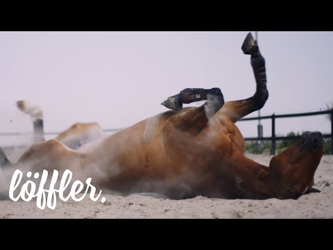 Altano Gruppe zum Wohl der Tiere - Pferdeklinik & Tierklinik -- Imagefilm
