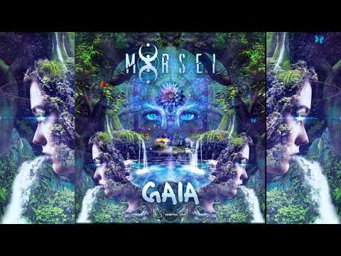 MoRsei - Jungle Vision (Original)