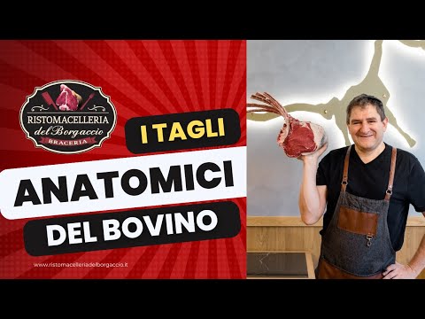 TAGLI ANATOMICI DEL BOVINO, DESCRIZIONE E CONSIGLI PER LA COTTURA.