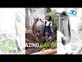 Amazing Earth Amazing Facts About The Philippine Witch Dogs