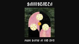 Saintseneca - "Moon Barks At The Dog"