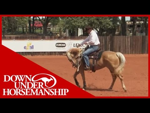 Clinton Anderson: Training a Rescue Horse, Part 12 - Downunder Horsemanship