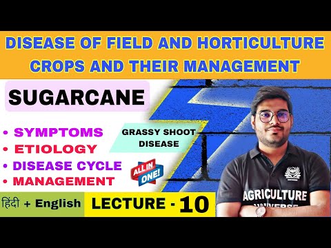 Diseases of Fleld and Horticultural Crops their Management syllabus analysis