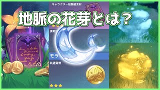 【原神】地脈の花芽とは？初心者向け解説！