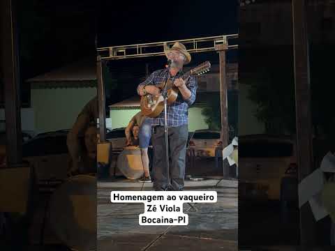 Zé Viola faz uma homenagem a todos os vaqueiros - Bocaina-PI