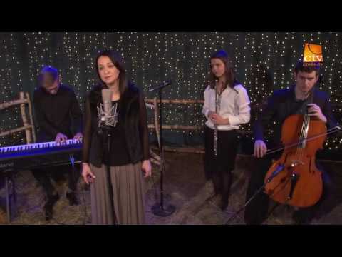 Departe-ntr-o iesle - video