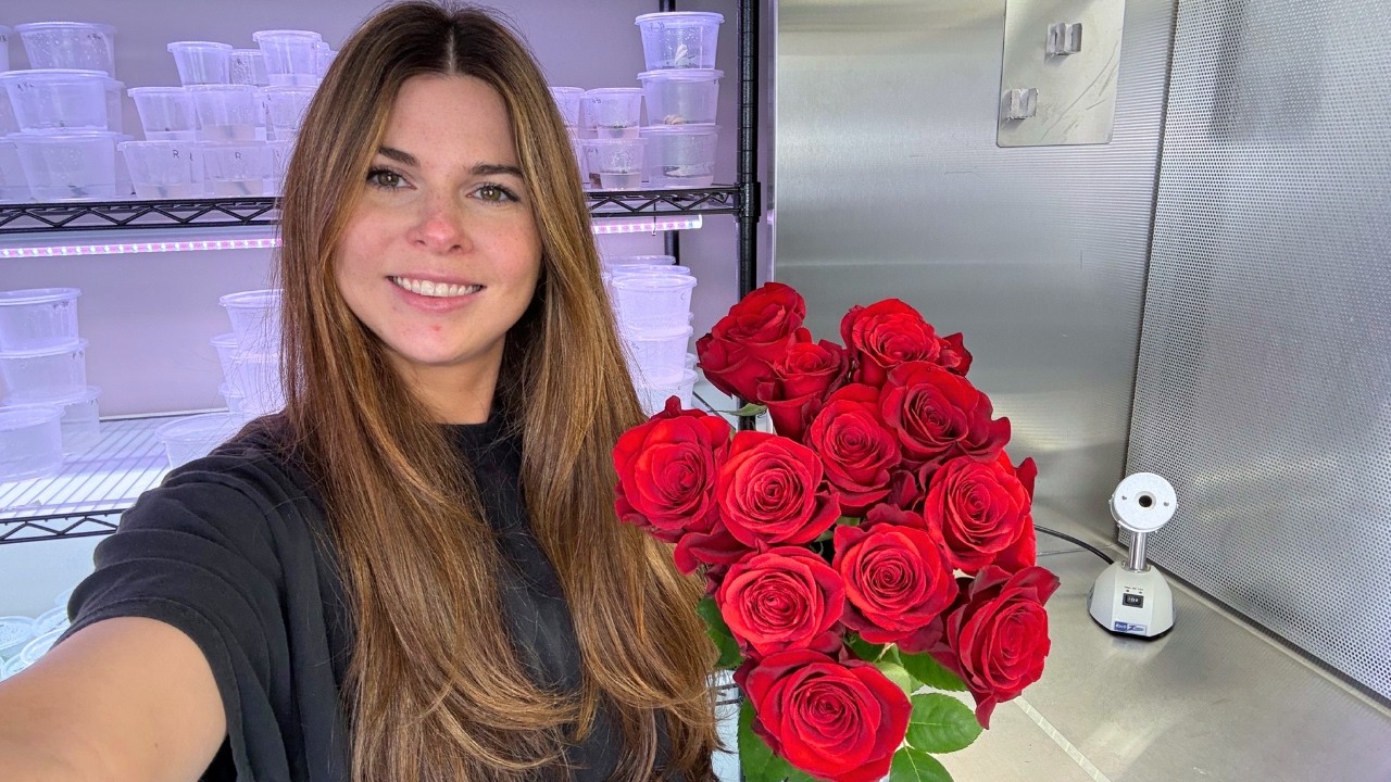 I tried cloning roses in my lab 🥀